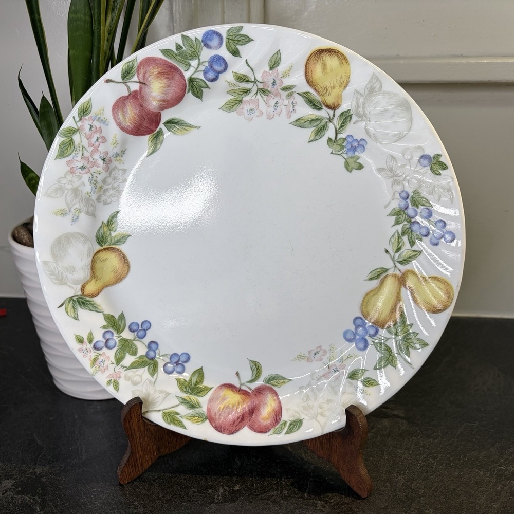 Corelle by Corning CHUTNEY Fruit Swirl 6 Dinner Plates 10 1/8" Cottagecore